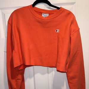 Champion Reverse Weave Cropped